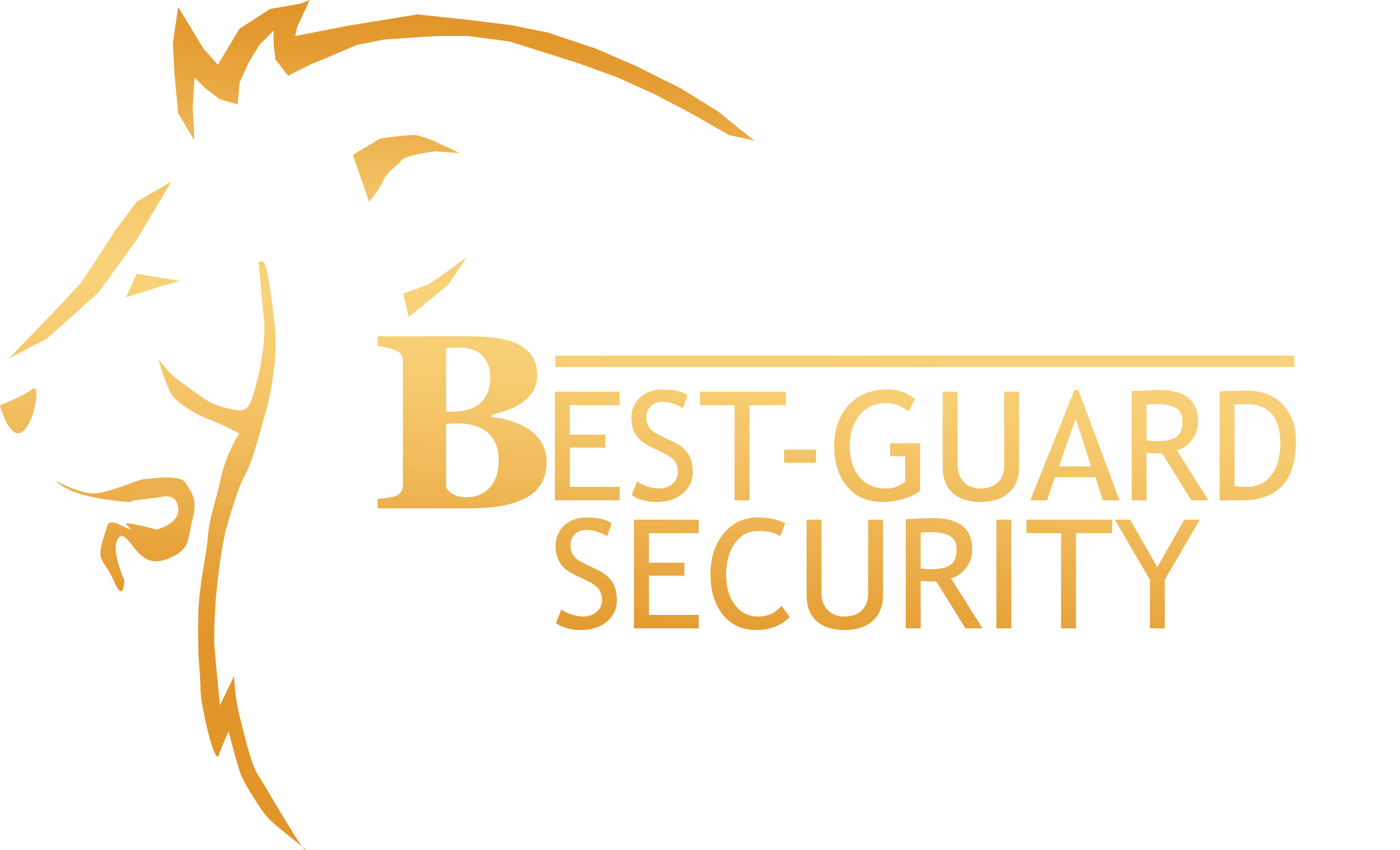 Best-Guard Security